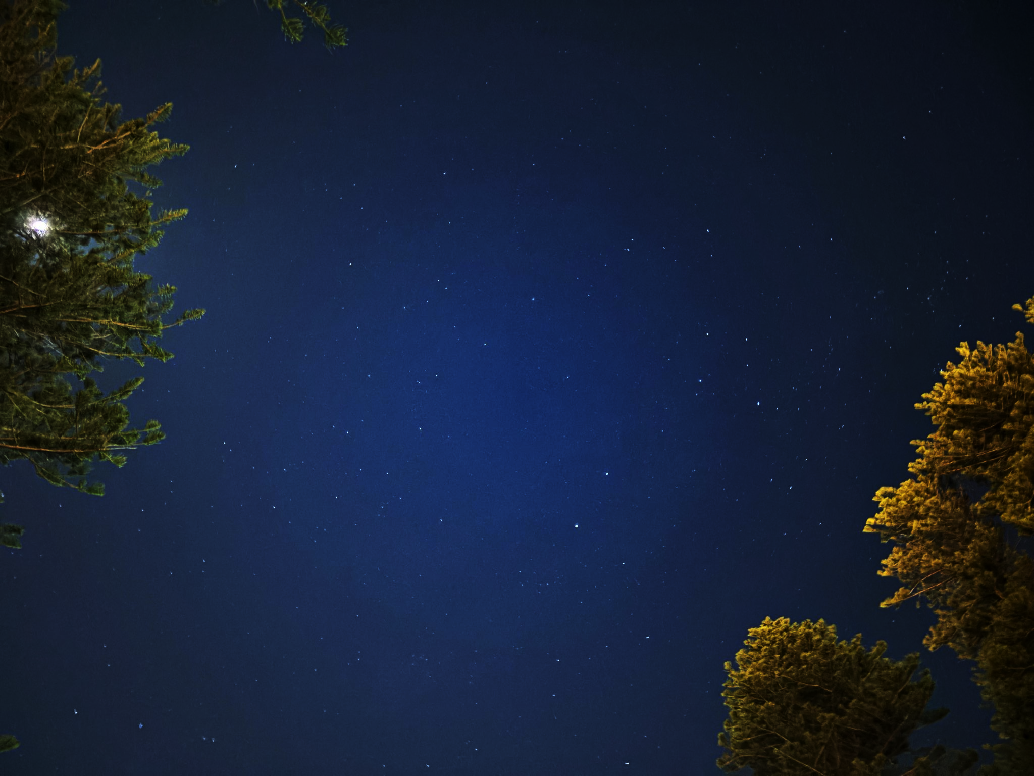 'Cause you're a sky, 'cause you're a sky full of stars.