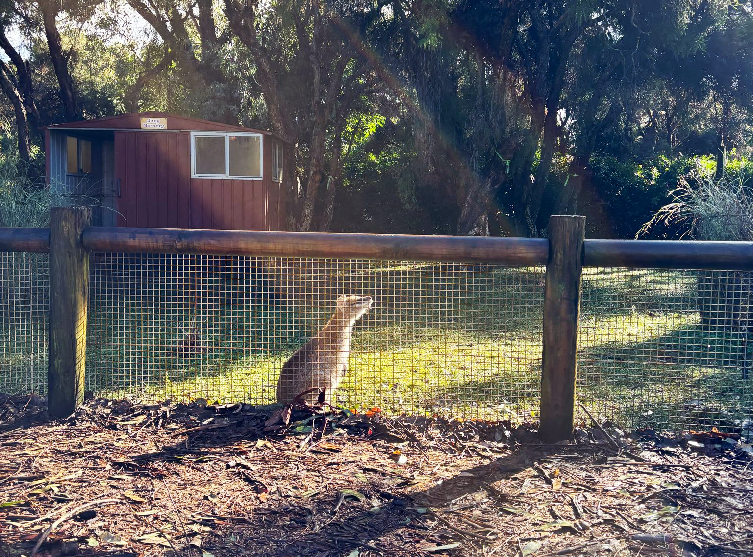 Amazing shot by my eldest. Not sure if fluke.